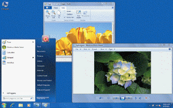 <strong> As a consumer, you can choose from any of the following editions of the operating system shown in the accompanying figure EXCEPT ____.</strong> A) Premium B) Professional C) Basic D) Ultimate