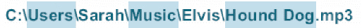 <strong> In the accompanying figure, Elvis is an example of a(n) ____.</strong> A) primary folder B) subfolder C) filename D) path