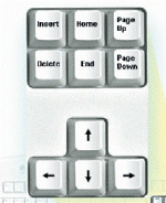 <strong> The part of a keyboard shown in the accompanying figure is used for ____.</strong> A) inputting commands B) navigating C) responding to prompts D) typing text