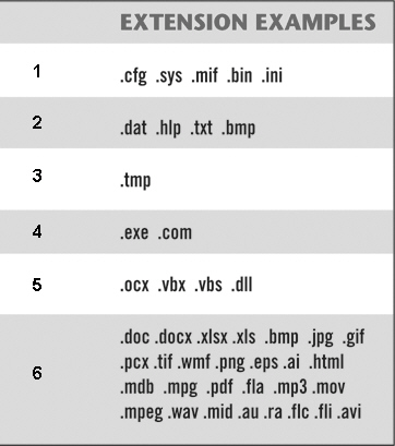 <strong> In the table above, item 3 is a ____ file.</strong> A)program B)data C)temporary D)configuration