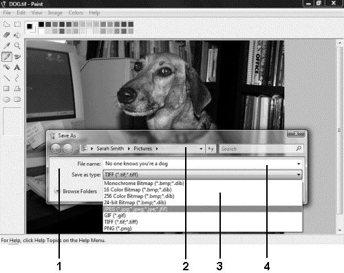 <strong> Item ____ in the figure above indicates where you provide a filename when saving a file.</strong> A)1 B)2 C)3 D)4