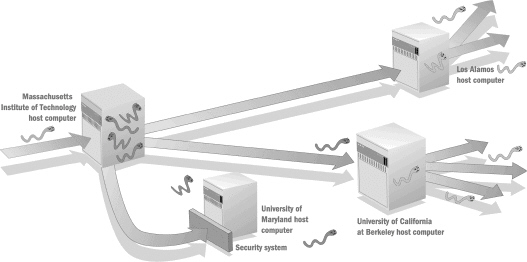 <strong> In the figure above, the worm enters the original host and other unprotected hosts using ____.</strong> A)infected files B)a backdoor C)e-mail D)a packet
