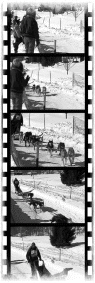 <strong> A video is a series of ____, like those in the figure above.</strong> A)pictures B)images C)clips D)frames