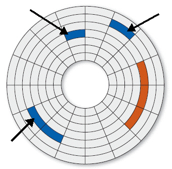 FIGURE 4-1   The blue sectors shown in Figure 4-1 above represent ____.