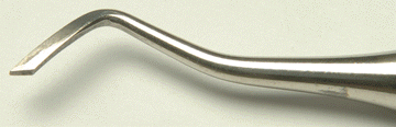 <strong>Identify the following cutting instrument: </strong> A) Mesial marginal trimmer B) Enamel hatchet C) Distal marginal trimmer D) Binangle chisel