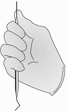 <strong> The instrument grasp shown above is the ________ grasp.</strong> A) pen B) modified C) palm-thumb D) palm