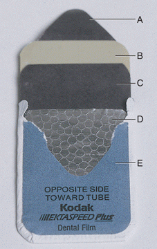 Match the components of the film packet to the letters on the figure.