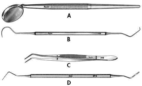Complete the following questions by identifying the labeled instruments. The instrument labeled C is the ______________________________.