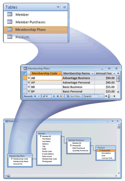 <strong> Figure 10-1 A user of a relational database, such as that pictured in Figure 10-1, refers to a record as a ____.</strong> A) table B) column C) row D) relationship