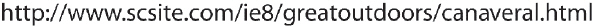 Referring to the accompanying figure, if you do not enter in the http:// when entering in this Web site address, Internet Explorer will ____.