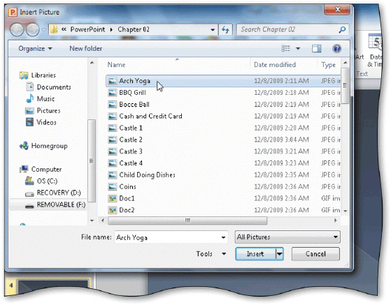 <strong> Clicking which of the following buttons opens the Insert Picture dialog box shown in the accompanying figure?</strong> A)Clip Art B)Insert Picture from File C)Screenshot D)New Photo Album