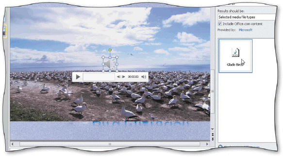 <strong> The _____ buttons for an inserted audio clip, shown in the accompanying figure, include playing and pausing the sound, moving back or forward 0.25 seconds, audio progress, elapsed time, and muting or unmuting the sound.</strong> A)Sound Control B)Audio Control C)Playback Control D)Visual Control