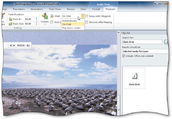 <strong> The _____ command on the Start menu, shown in the accompanying figure, allows sound to play while other slides in the presentation are displayed.</strong> A)Play across slides B)On Click C)Automatically D)none of the above