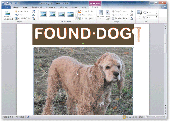 _________________________ includes both enlarging and reducing the size of a graphic, as shown in the accompanying figure.