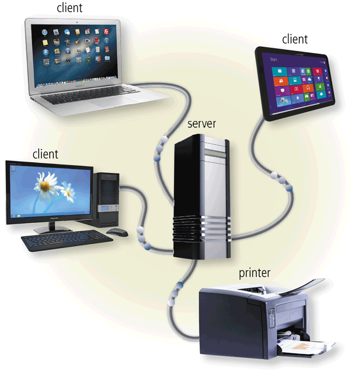 <strong> A client/server LAN, as shown in the accompanying figure, uses a network ____ to manage data storage, printer access, communications, Internet connections, security, and network administration.</strong> A) bus B) host C) card D) operating system