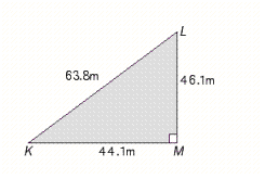 <strong>Use the triangle in the illustration. Find tan L rounded to three significant digits. </strong> A) 0.141 B) 0.069 C) 0.691 D) 0.951 E) 0.447