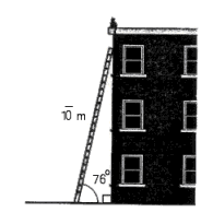 <strong>The recommended safety angle of a ladder against a building is 71 <sup>o</sup>. A 1 \overline { 0 } -m ladder will be used. How high up on the side of the building will the ladder safely reach? (See the illustration.) Round your answer to the appropriate number of significant digits. </strong> A) 11 m B) 9.5 m C) 8.9 m D) 7.8 m E) 8.4 m