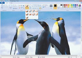   Although photos can be edited using paint software like the kind shown in the accompanying figure, photo editing software typically provides tools that simplify common editing photo editing tasks.<div style=padding-top: 35px> 