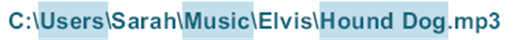 <strong> In the accompanying figure, Elvis is an example of a(n) ____.</strong> A) primary folder B) subfolder C) filename D) path