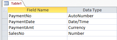 In the accompanying figure, the data type for the PaymentAmt field is ____________________.