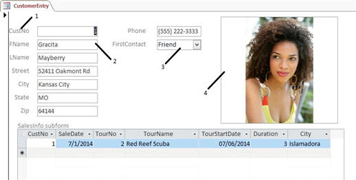 In the accompanying figure, item number 1 is a(n) text box control. _________________________
