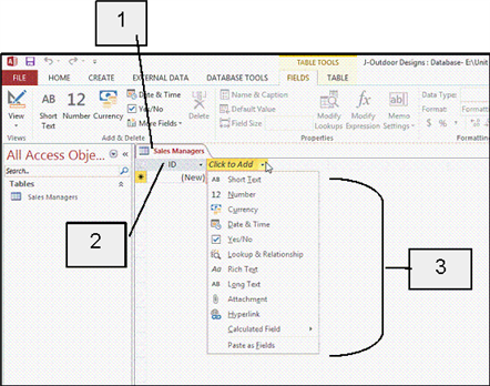 <strong> In the accompanying figure, item 3 points to ____.</strong> A) the fields in the table B) field properties C) all of the table types you can add to a datasheet D) all of the data types you can apply to a field