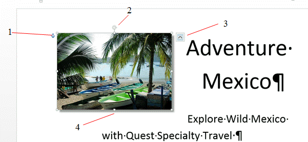 In order to add a shadow to the picture in the accompanying figure, you should click item 3.