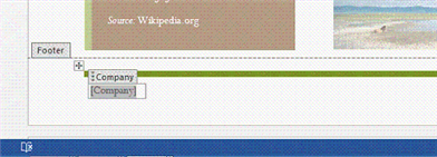 The Company item in the footer in the accompanying figure is a(n) ____________________ control.
