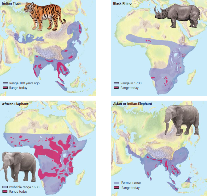 Figure 8.6 for questions 93 and 94. Refer to the accompanying figure. Consider the differences between the historical and current ranges of these animals. What predictions can you make about how these areas may differ?