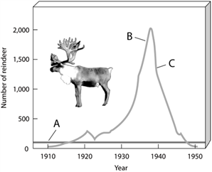 Use the figure above to answer the following question(s). Determine which portion of the accompanying graph represents the number of reindeer that can be sustained indefinitely in a given area. What term illustrates this?
