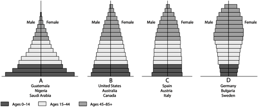 Generalized Population Age Structure Diagrams Use the Figure above to answer the following question(s). Which diagram has similar numbers of males and females in pre-reproductive and reproductive categories?