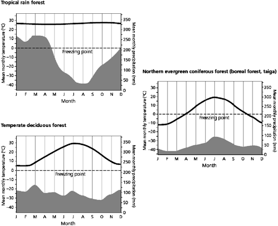 Use the figure above to answer the following question(s). What is the mean monthly temperature in the tropical rain forest?