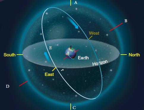 <strong> The Sky Around You - Page 18 (For the following questions) Review the accompanying figure and identify point B.</strong> A) zenith B) north point C) celestial equator D) south celestial pole E) north celestial pole