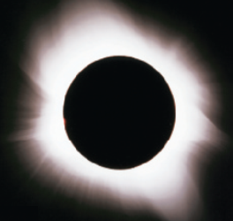 <strong> Figure 8-1b Which layer of the Sun's atmosphere is represented in the accompanying visual-wavelength image?</strong> A) magnetic carpet B) chromosphere C) heliosphere D) solar wind E) corona