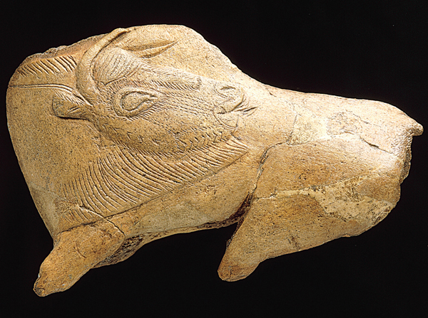 <strong> How was this object made?</strong> A) A sharp burin was used to carve terracotta B) A sharp burin was used to carve antler C) A chisel shaped a rhinoceros horn D) A chisel shaped a stone