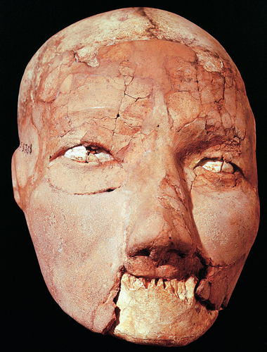 <strong> Which would be the most accurate label for this object?</strong> A) Paleolithic human skull overlaid with clay, from Namibia B) Neolithic human skull overlaid with plaster, from Jericho C) Neolithic wooden model with plaster, from Jericho D) Paleolithic ancestor statue of wood and clay, from Lascaux