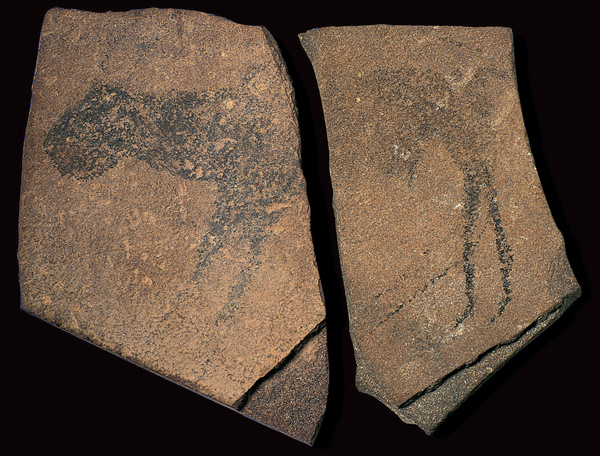 <strong> This drawing is an example of what universal Paleolithic painting convention?</strong> A) Outline technique B) Three-quarter view C) Profile view D) Frontal view