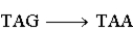 <strong>Which of the following DNA coding substitution mutations would be the least harmful to a cell based on their effect on the corresponding polypeptide?</strong> A) B) C) D)