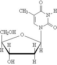 <strong>Consider the structure given below. Which of the following correctly characterizes this substance?</strong> A) RNA nucleoside B) RNA nucleotide C) DNA nucleoside D) DNA nucleotide