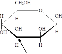 <strong>What is the number of the carbon indicated by the arrow in the following image of a monosaccharide? </strong> A) 1 B) 2 C) 3 D) 4 E) 5 F) 6