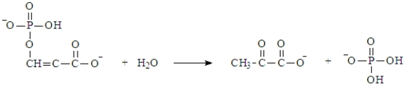 <strong>The following reaction is used to generate ATP. This reaction is:</strong> A) exothermic. B) produces more than 7.3 kcal/mol. C) both exothermic and produces more than 7.3 kcal/mol.