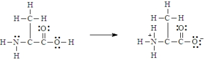 Below is the structure for the amino acid alanine. Alanine can undergo an internal acid-base reaction. In this reaction, the -NH<sub>2</sub> group functions as a base.
