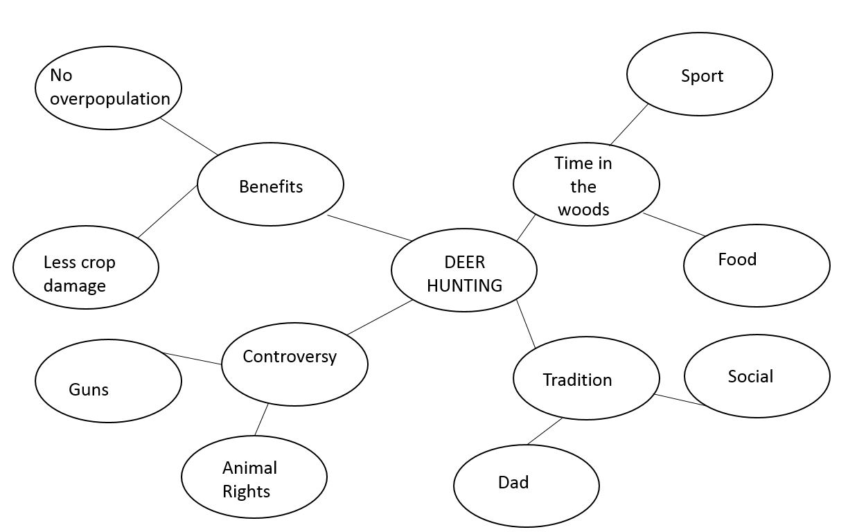 <strong>Select the answer that correctly identifies each type of prewriting. This prewriting is an example of</strong> A) focused freewriting. B) brainstorming. C) clustering.
