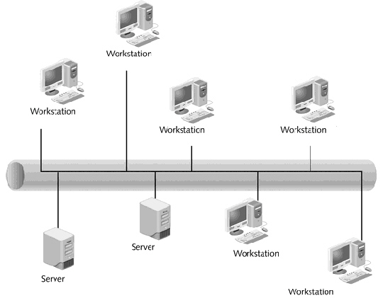<strong> If a network administrator wants to use host-based intrusion detection, which devices in the figure above would need to be configured?</strong> A) Only the workstations B) Only the servers C) All workstations and servers D) None of the workstations or servers