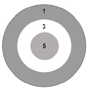 You will throw 5 darts in a game. The bull's-eye has a value of 5. The middle circle has a value of 3, and the outer circle has a value of 1. In your game, each dart hits and sticks to the board. (a)What is the highest score you could have in your game? (b)The lowest score? (c)What other scores could you have? (d)Is there anything unique about scores for this 5-dart board? (e)Identify your strategy or strategies and explain how you used them. This rubric will be used to evaluate your work on this task. Credit will be awarded on a 4-point scale.