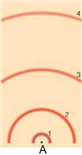 <strong> In the above model of an atom, if you were to draw an electron's transition from the second excited state to the third excited state, what numbers would this correspond from/to? What kind of spectrum would be produced?</strong> A) 3 to 4, absorption B) 2 to 3, absorption C) 3 to 4, emission D) 2 to 3, emission