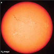 <strong>  The squiggly dark line in the upper left quadrant of the Sun in the image above is called a ___________.</strong> A) solar flare B) prominence C) sunspot D) filament <div style=padding-top: 35px> 