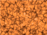<strong>  The above image is a __________ wavelength image of granulation in the ___________.</strong> A) infrared, chromosphere B) visual, photosphere C) X-ray, corona D) far-UV, chromosphere <div style=padding-top: 35px> 
