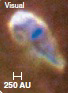 <strong>  The above image is an example of a ________.</strong> A) protostellar disk B) YSO C) protostar D) Herbig-Haro object <div style=padding-top: 35px> 