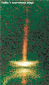    In the above image, the forming star is clearly seen.